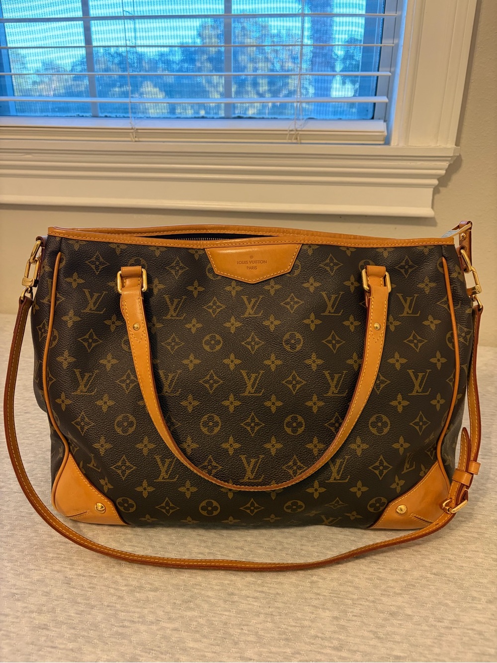 Louis Vuitton Monogram Canvas Shoulder Bag in Brown and Tan Leather Trim